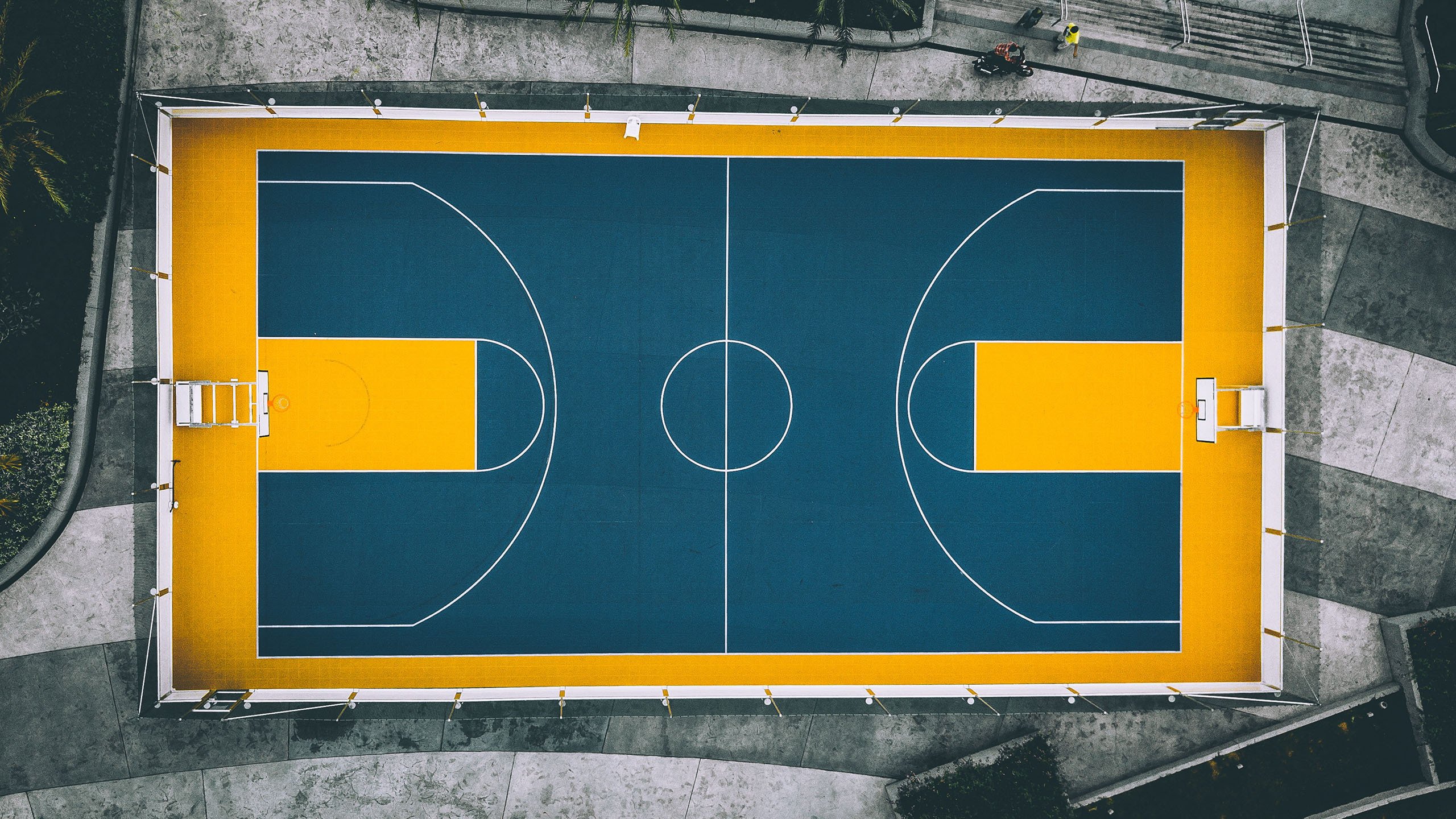 电竞赛场与NBA的双重困局，JackeyLove七连败与公牛教练信任危机